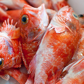 Agepesca - El sabor del mar - Pescaderías en Madrid